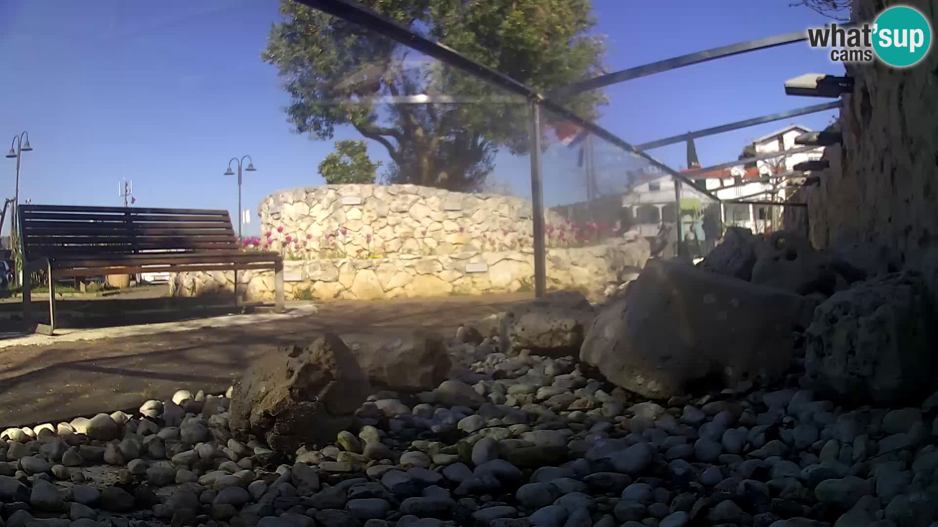 Outdoor Marine Aquarium Rogoznica webcam Croatia