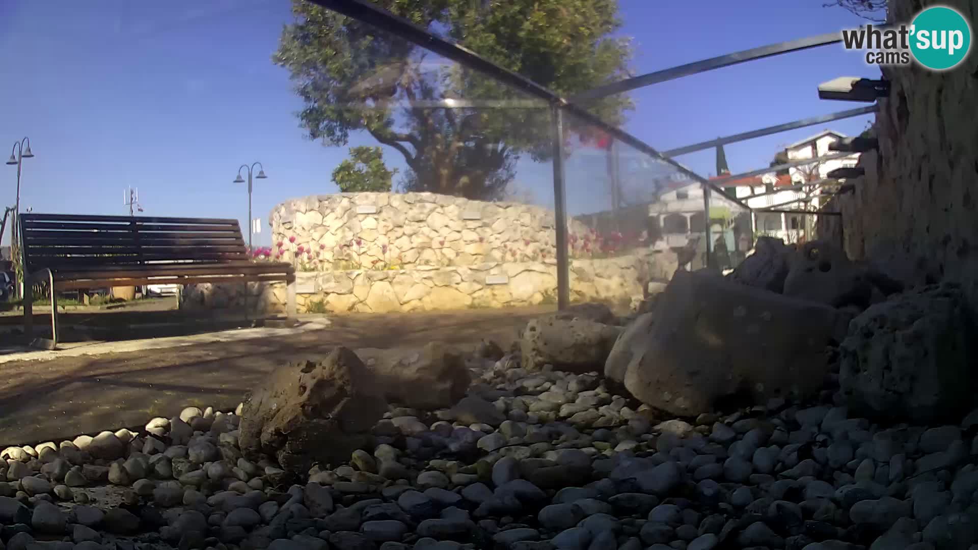 Webcam de l’aquarium marin extérieur de Rogoznica Croatie