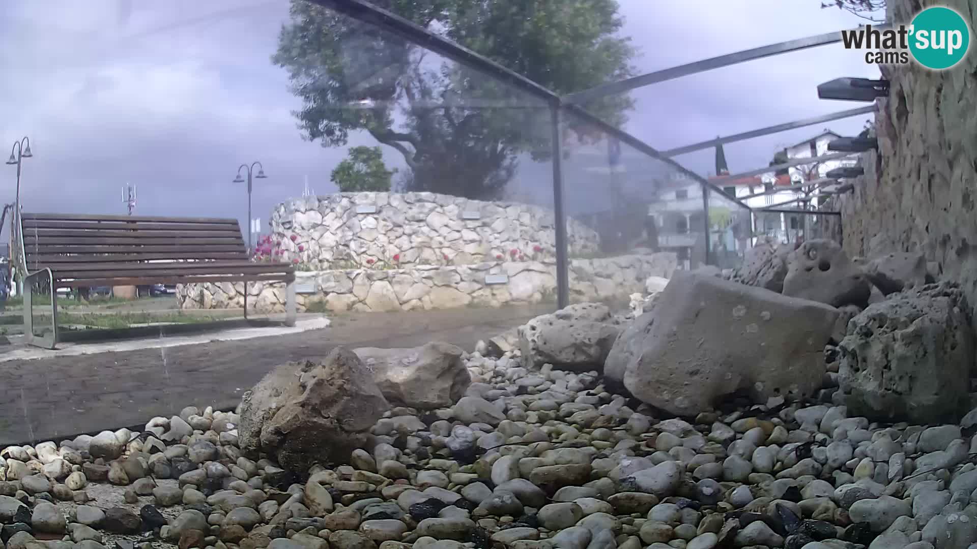 Webcam de l’aquarium marin extérieur de Rogoznica Croatie