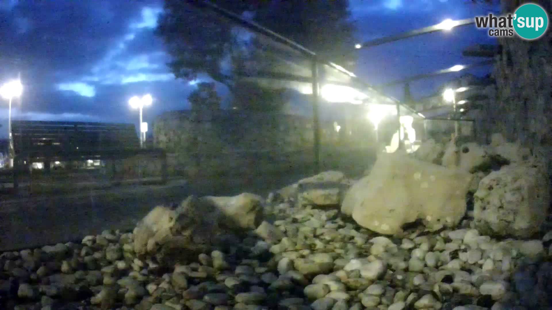 Aquario marino esterno –  Rogoznica livecam Croazia