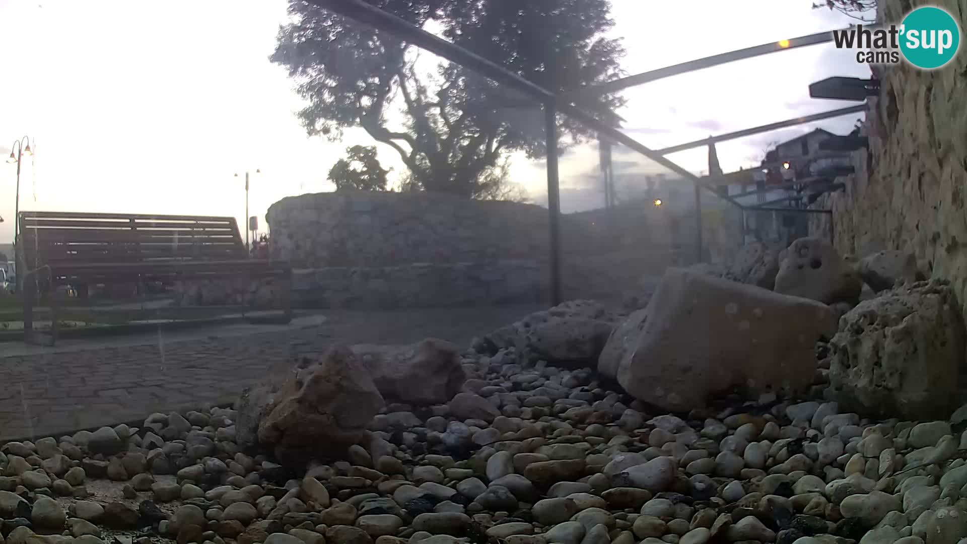 Acuario marino al aire libre Rogoznica webcam Croacia