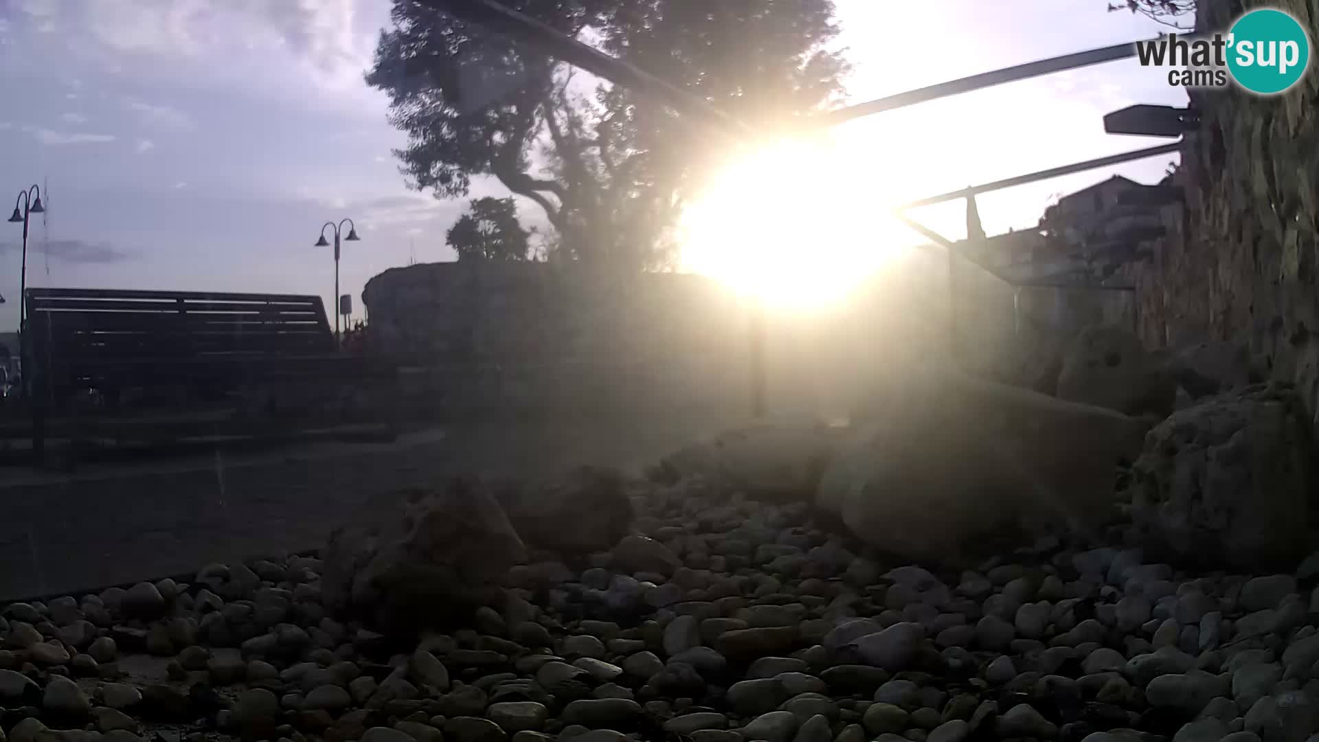 Aquario marino esterno –  Rogoznica livecam Croazia