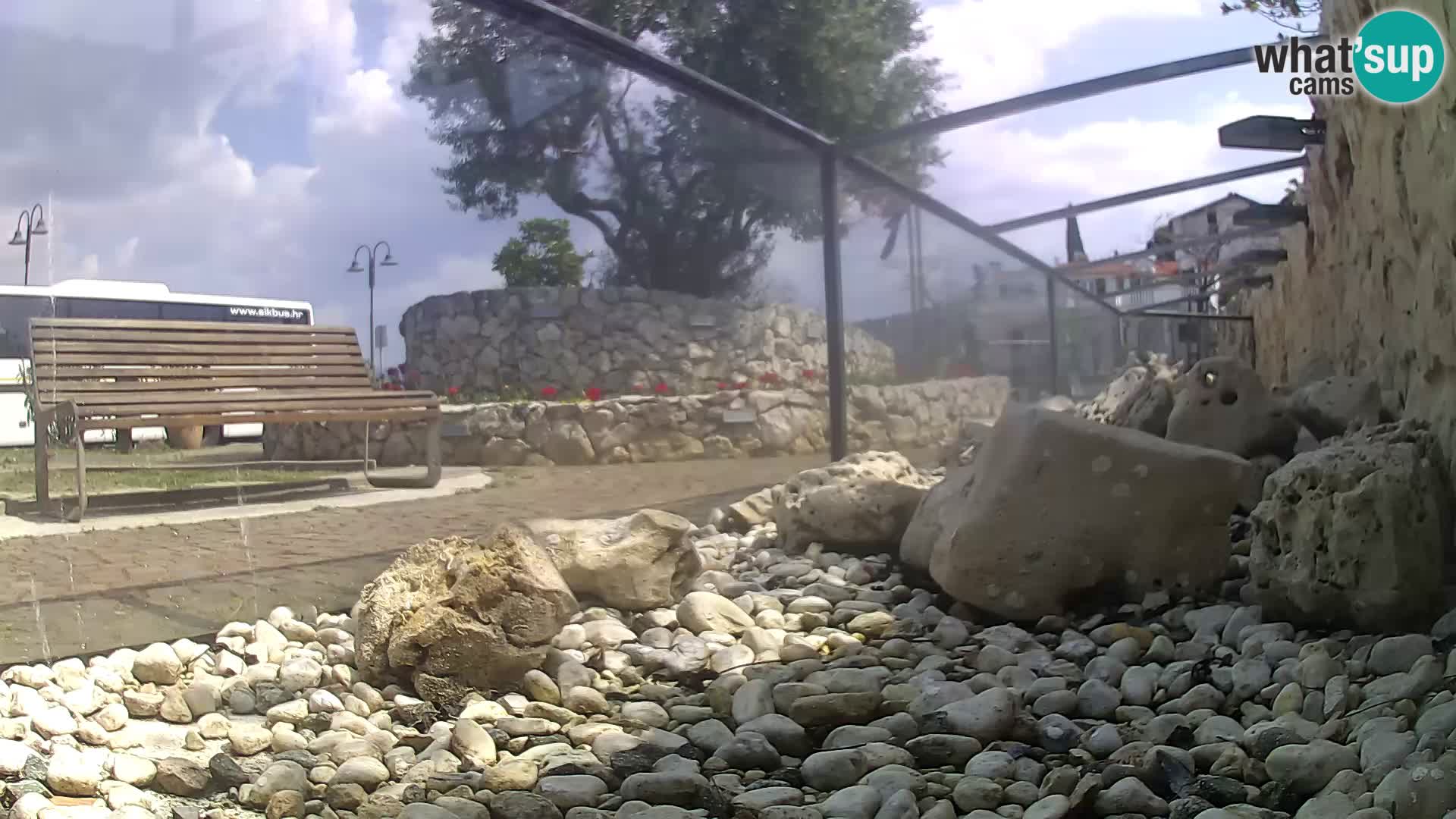 Marine Aquarium im Freien Rogoznica webcam Kroatien