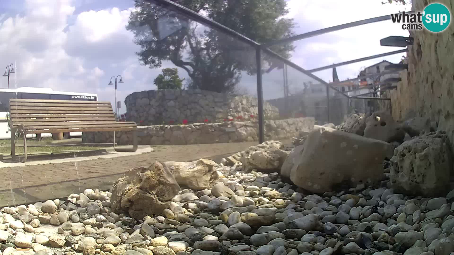 Webcam de l’aquarium marin extérieur de Rogoznica Croatie