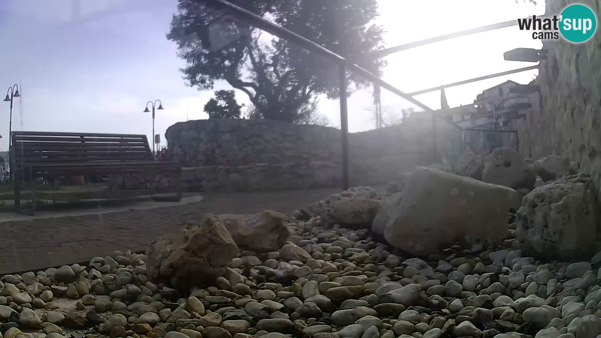 Webcam de l’aquarium marin extérieur de Rogoznica Croatie