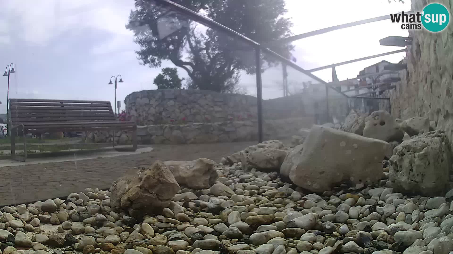 Outdoor Marine Aquarium Rogoznica webcam Croatia