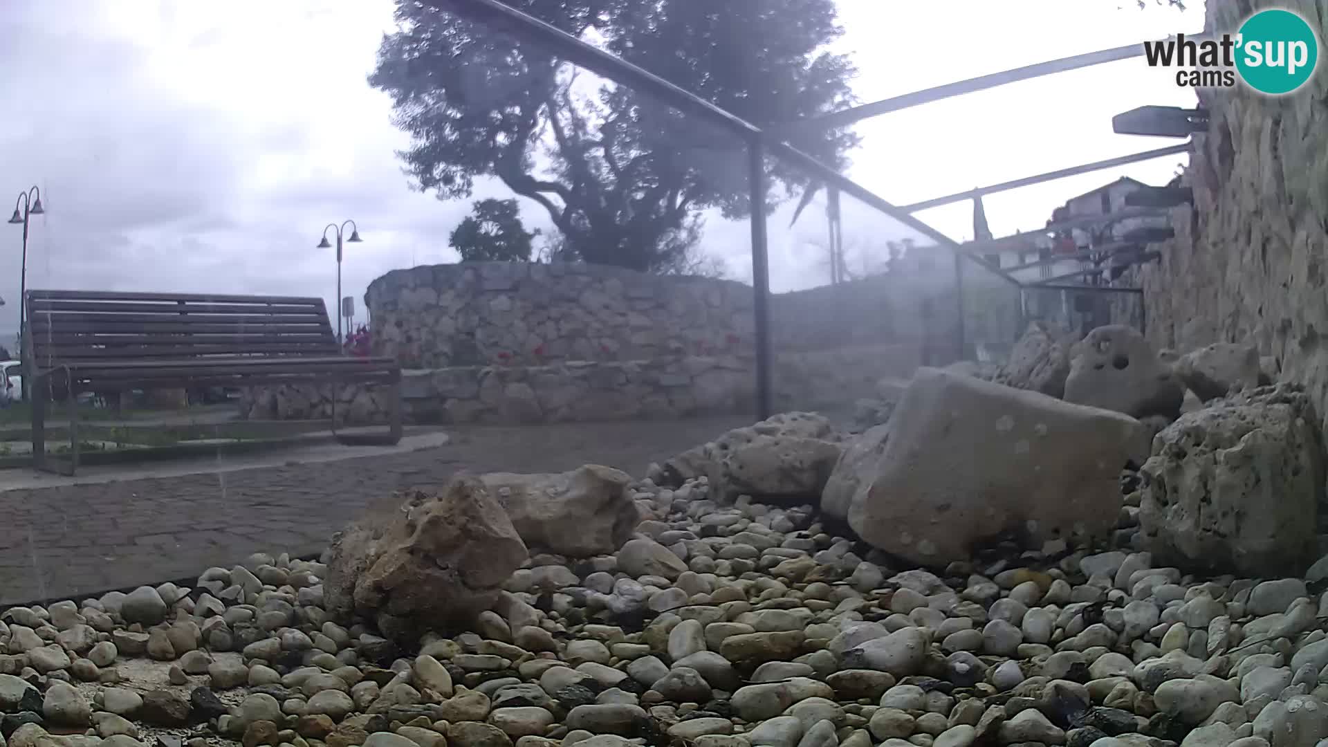 Aquario marino esterno –  Rogoznica livecam Croazia