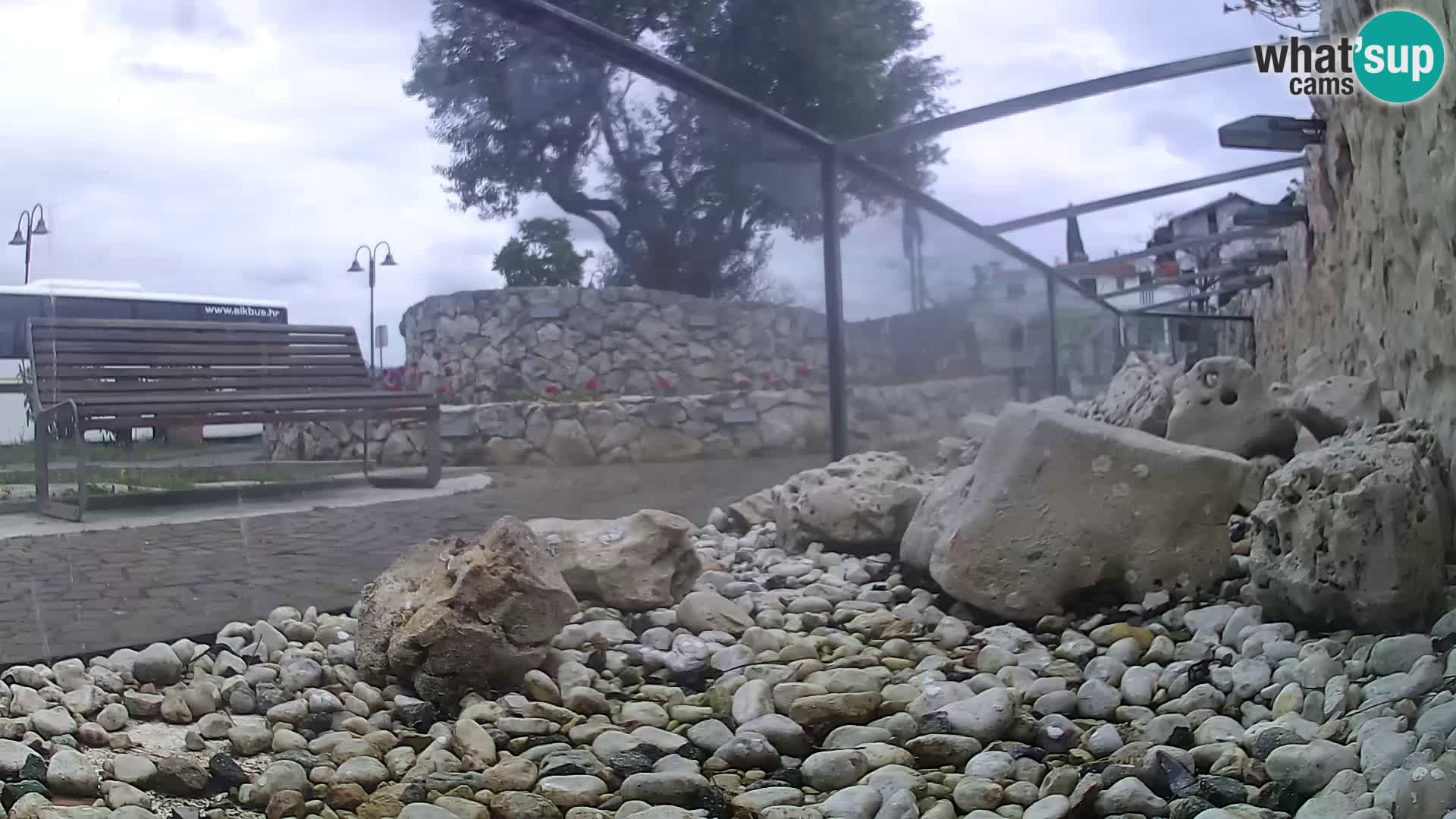 Webcam de l’aquarium marin extérieur de Rogoznica Croatie