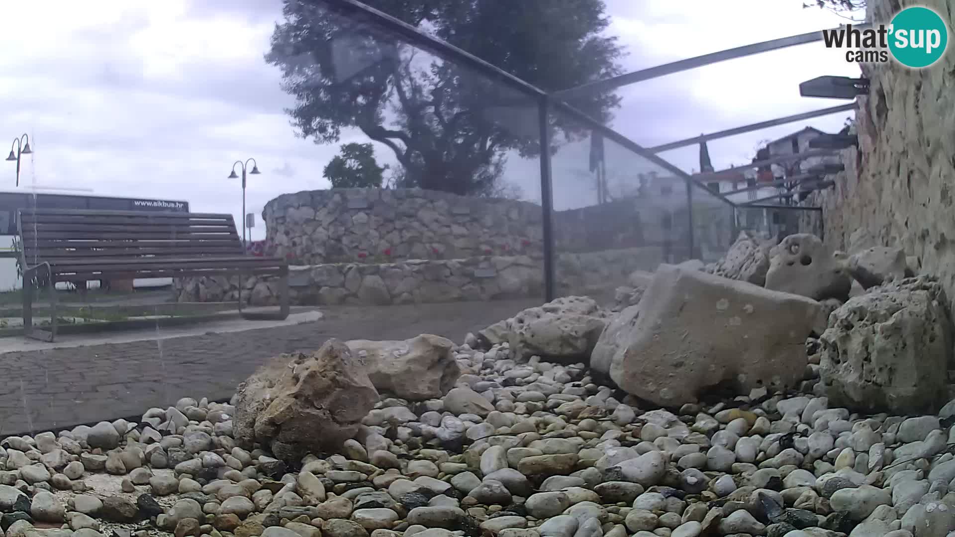 Aquario marino esterno –  Rogoznica livecam Croazia