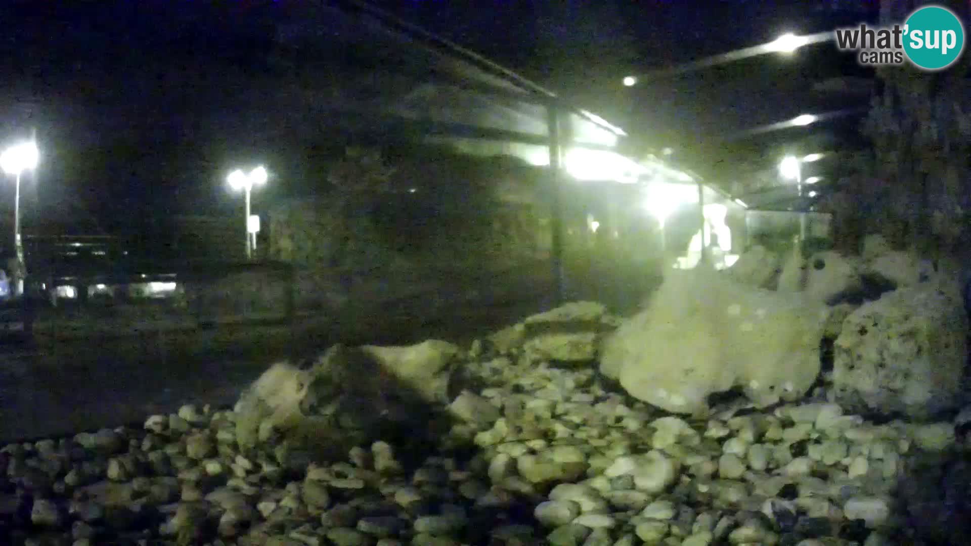 Aquario marino esterno –  Rogoznica livecam Croazia