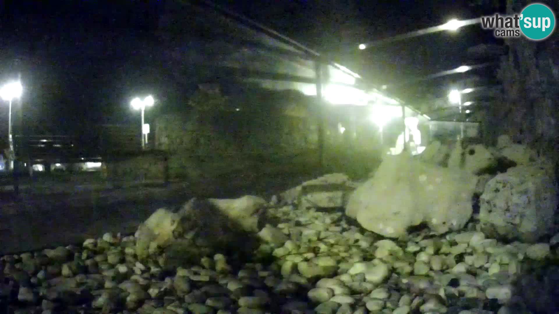 Aquario marino esterno –  Rogoznica livecam Croazia