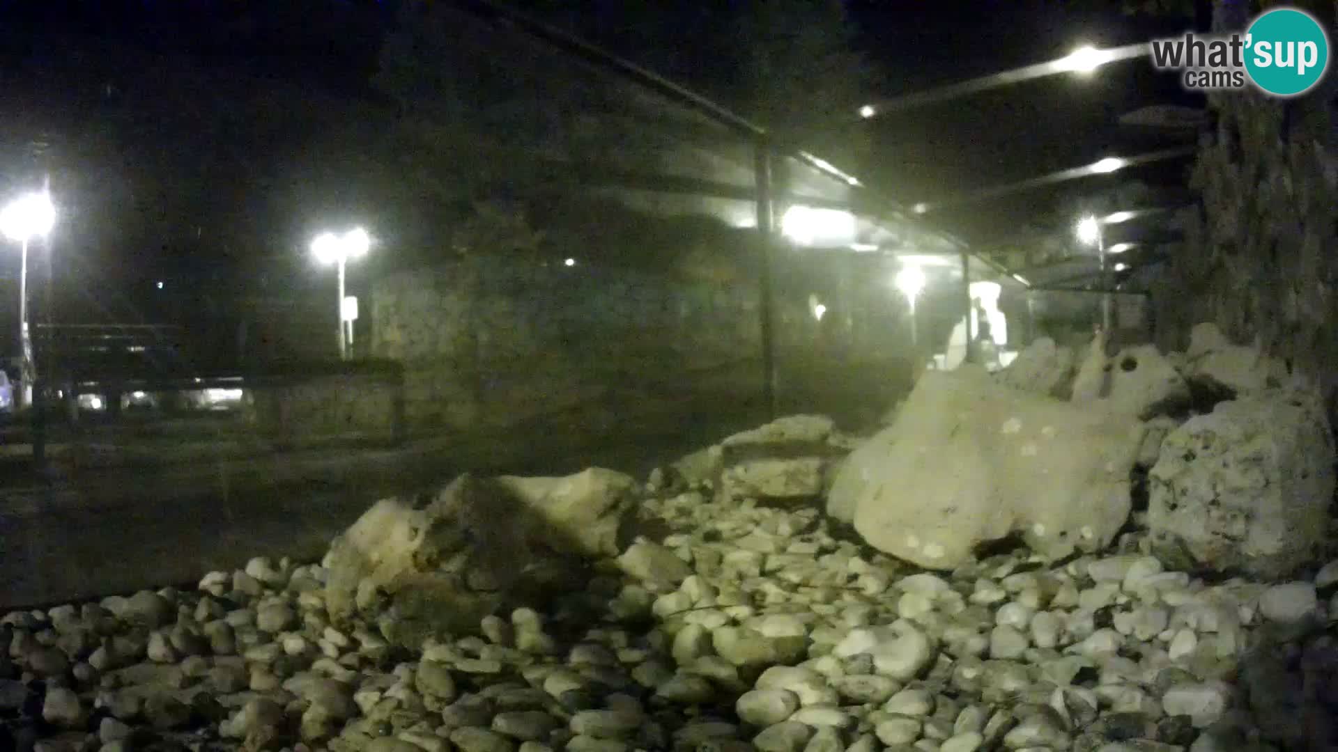 Outdoor Marine Aquarium Rogoznica webcam Croatia