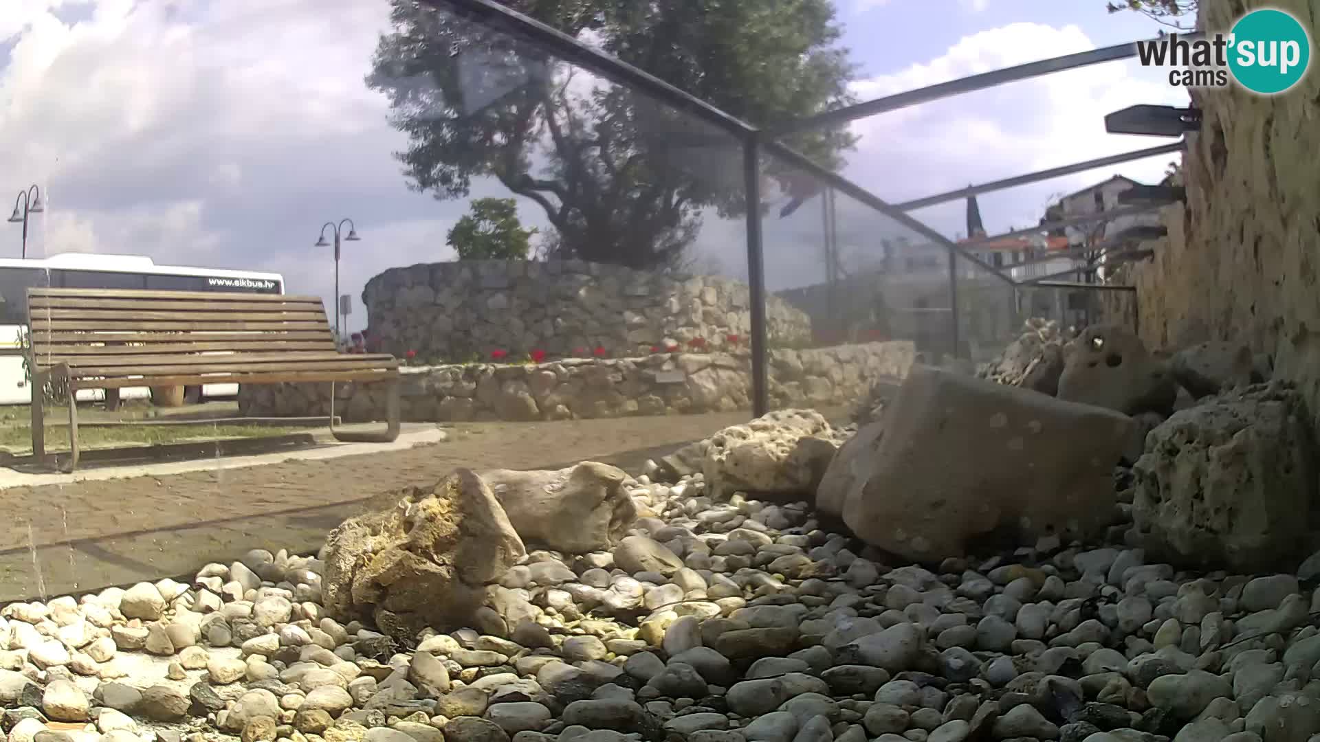 Aquario marino esterno –  Rogoznica livecam Croazia