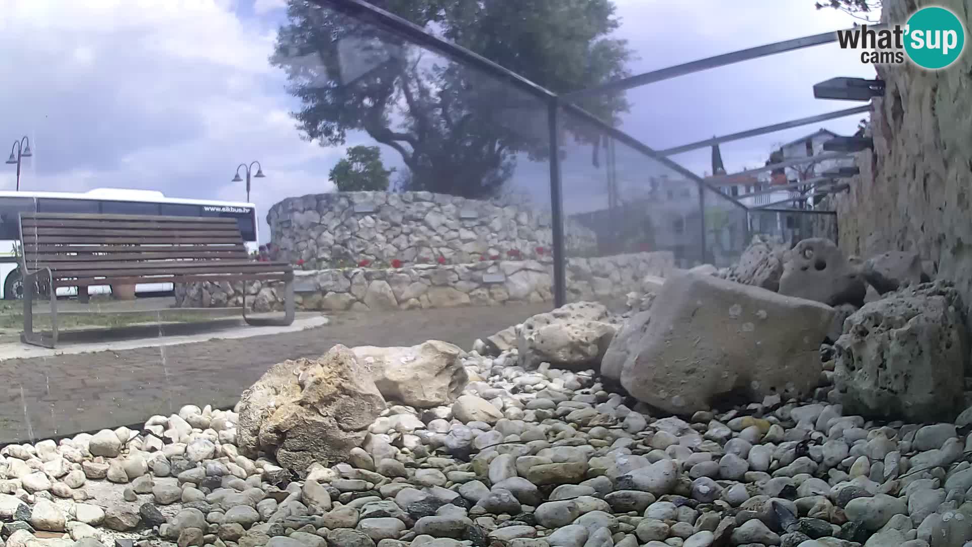 Aquario marino esterno –  Rogoznica livecam Croazia