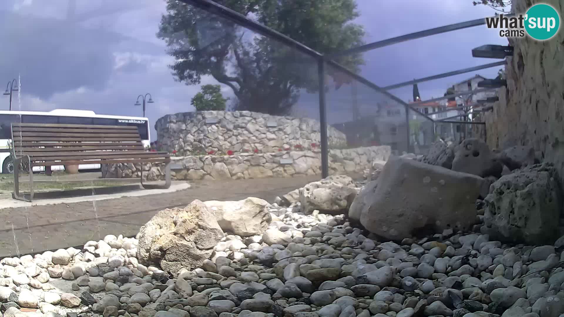 Aquario marino esterno –  Rogoznica livecam Croazia