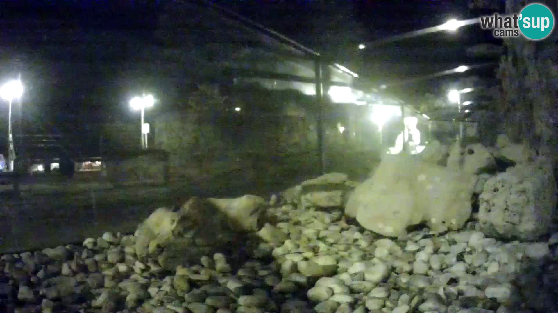 Webcam de l’aquarium marin extérieur de Rogoznica Croatie