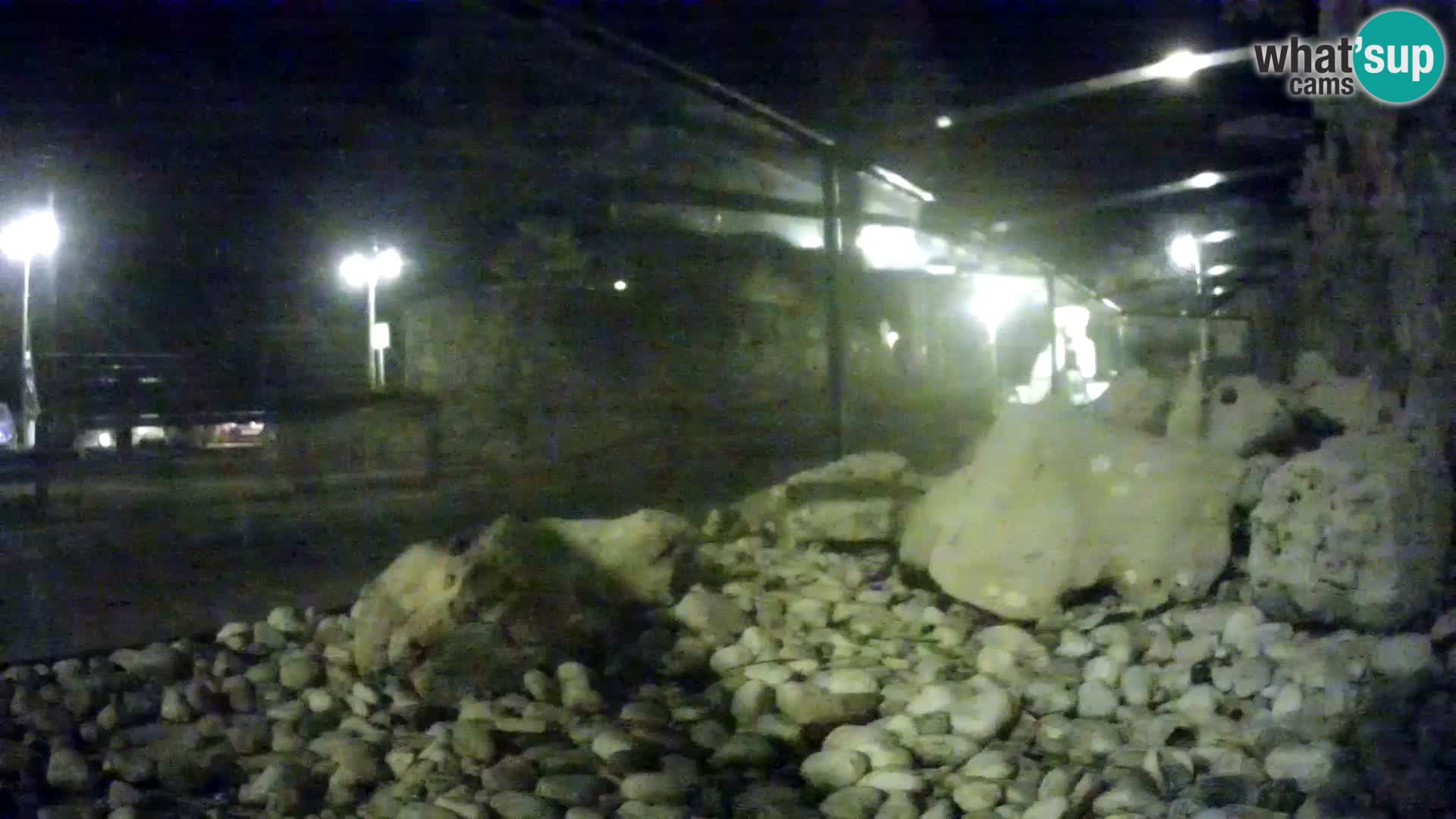 Vanjski morski akvarij Rogoznica web kamera Hrvatska