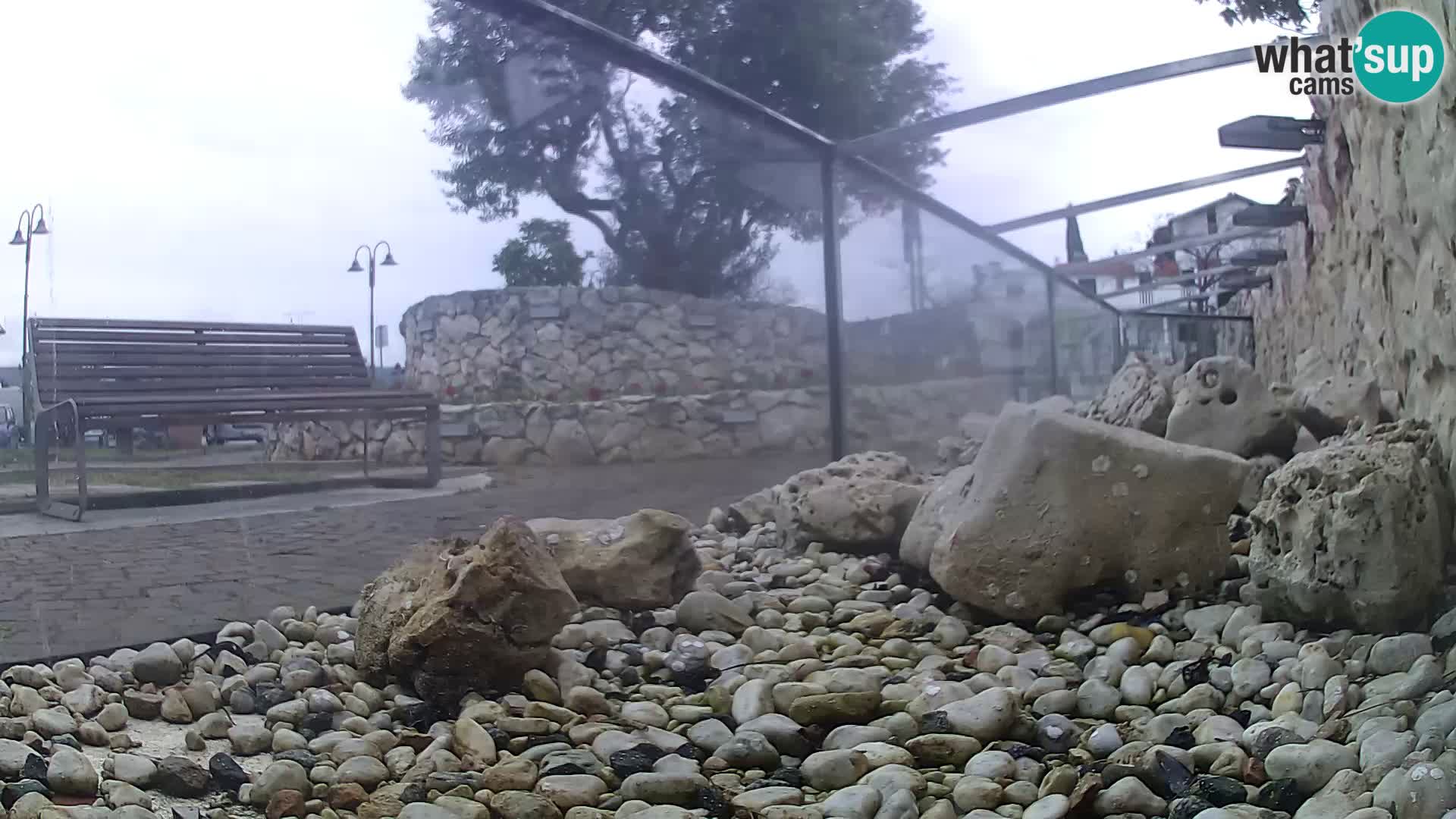 Vanjski morski akvarij Rogoznica web kamera Hrvatska