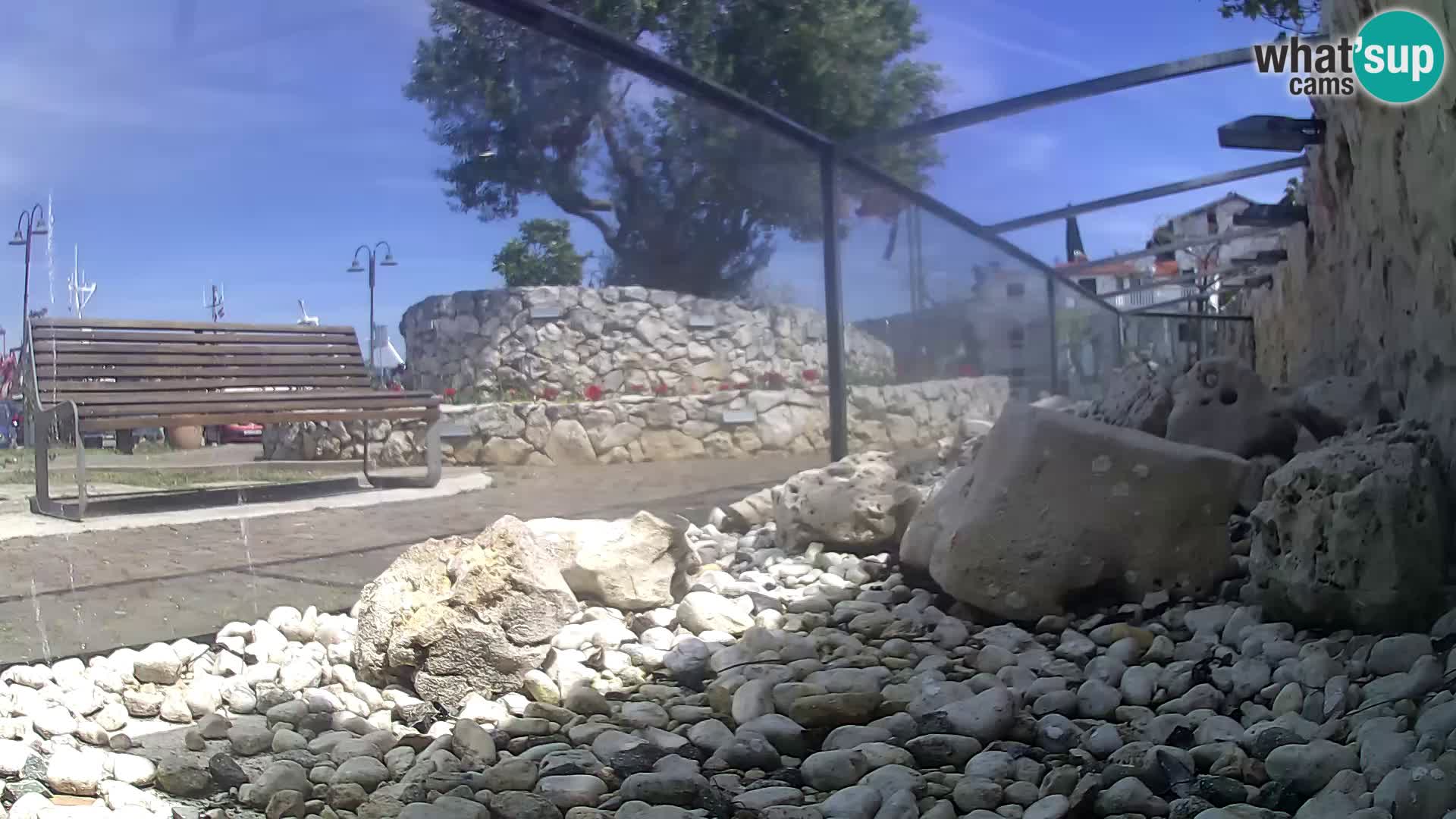 Acuario marino al aire libre Rogoznica webcam Croacia