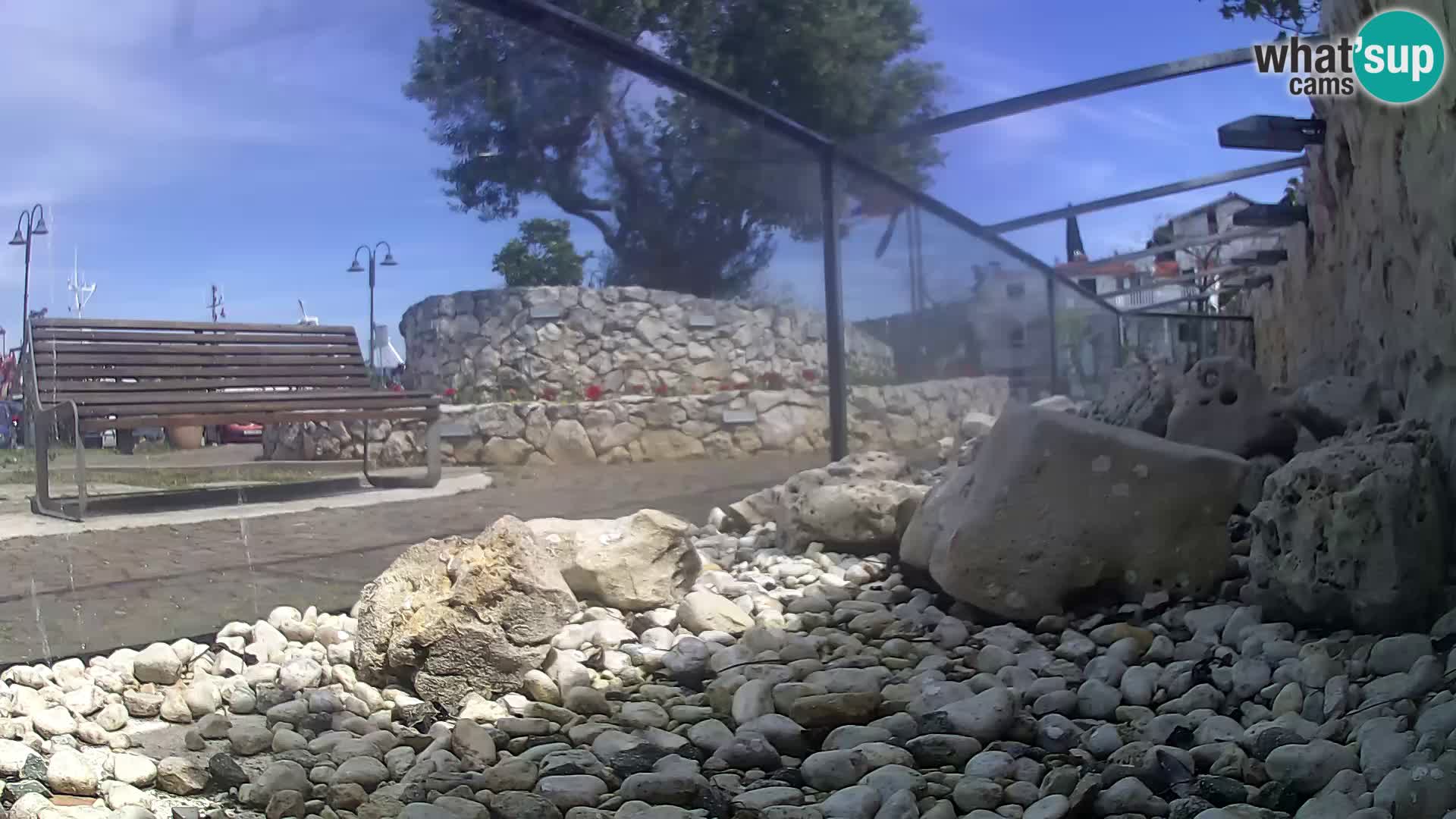 Aquario marino esterno –  Rogoznica livecam Croazia