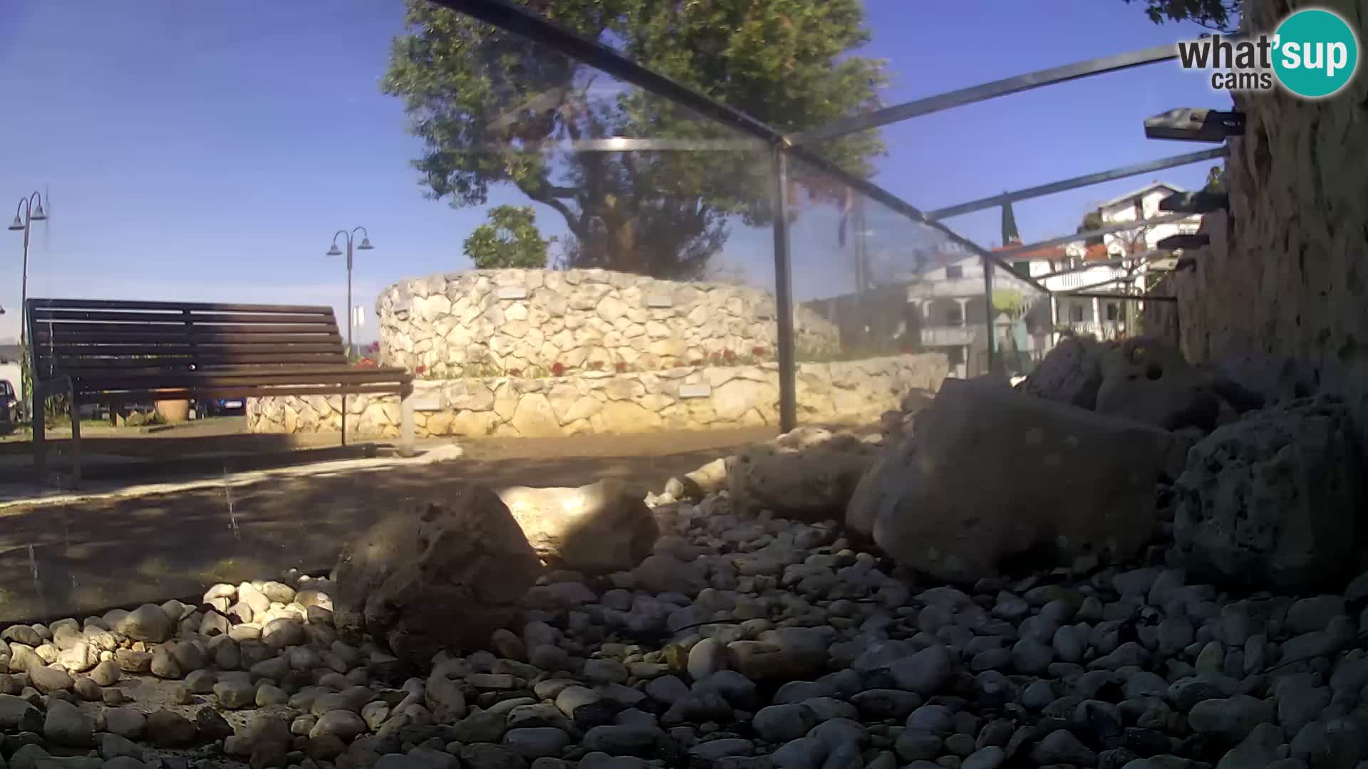 Outdoor Marine Aquarium Rogoznica webcam Croatia