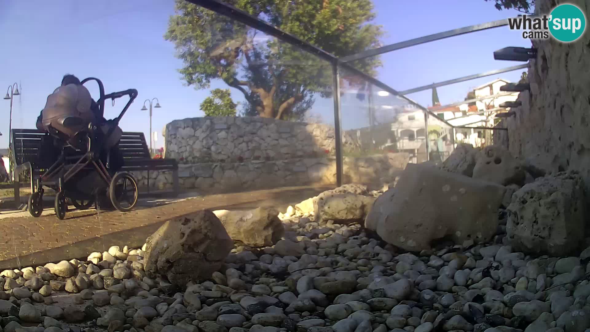 Marine Aquarium im Freien Rogoznica webcam Kroatien