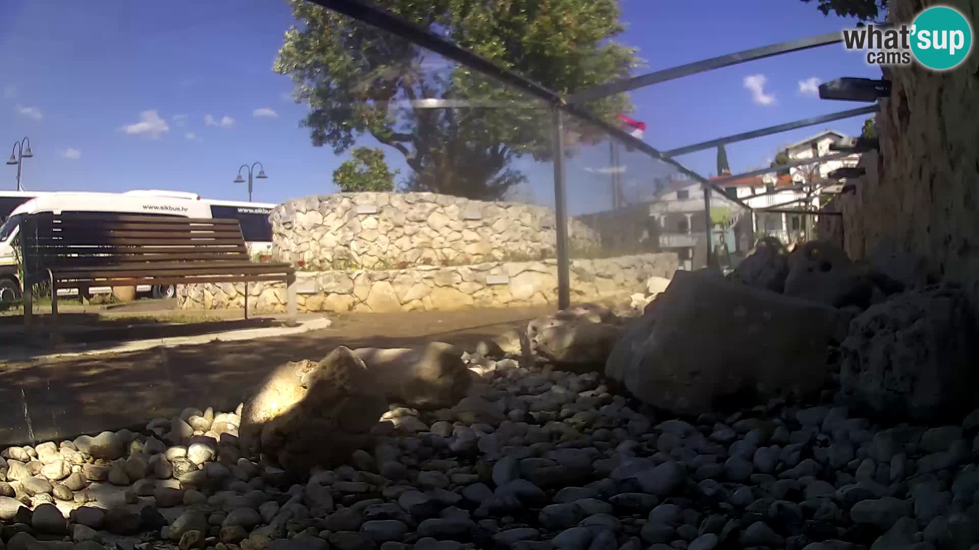 Outdoor Marine Aquarium Rogoznica webcam Croatia