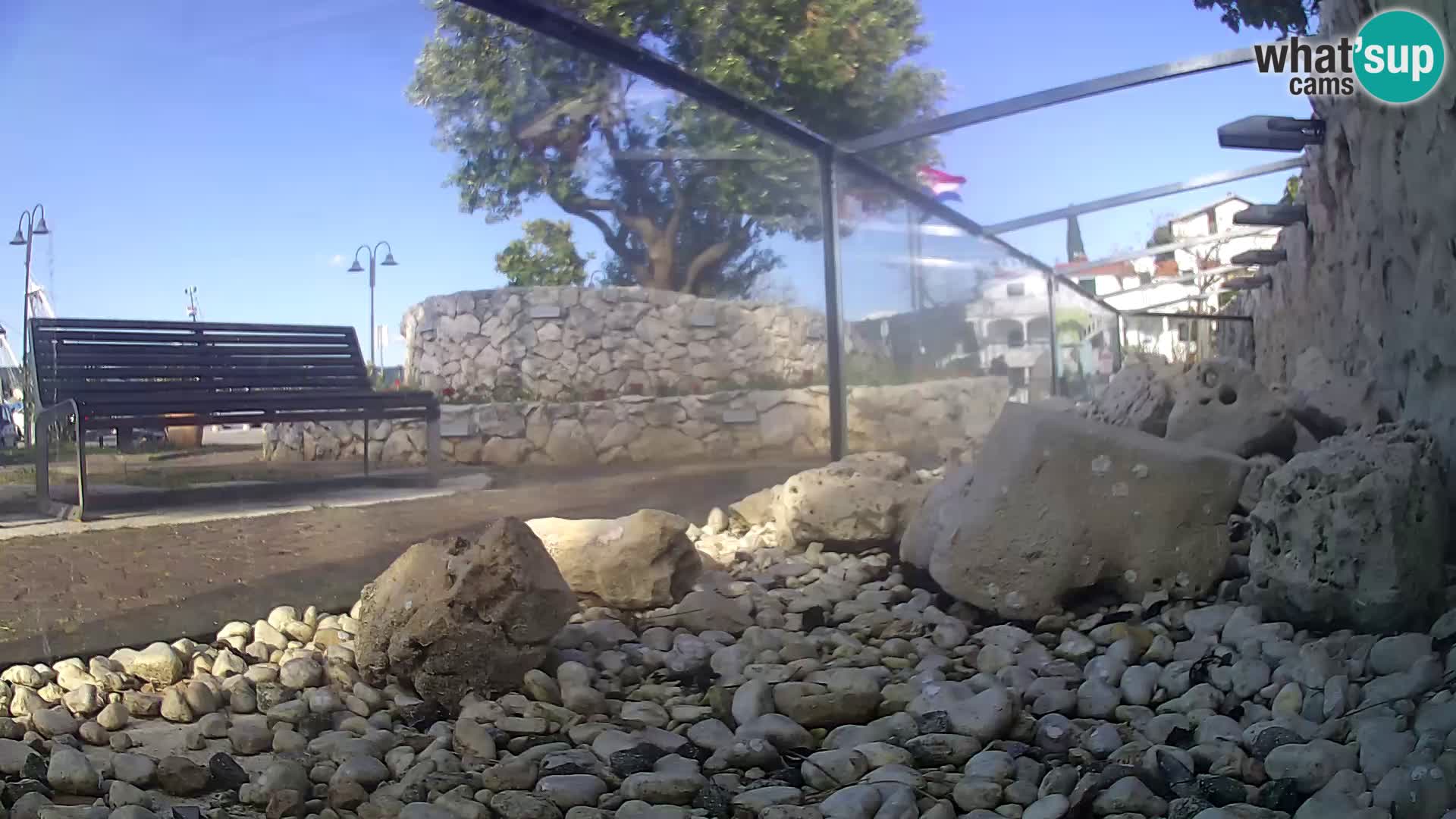 Vanjski morski akvarij Rogoznica web kamera Hrvatska