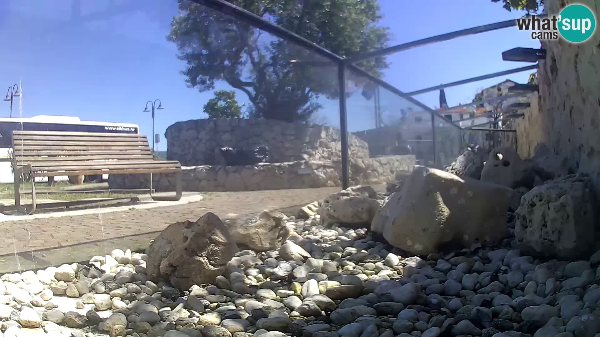 Zunanji morski akvarij Rogoznica spletna kamera Hrvaška