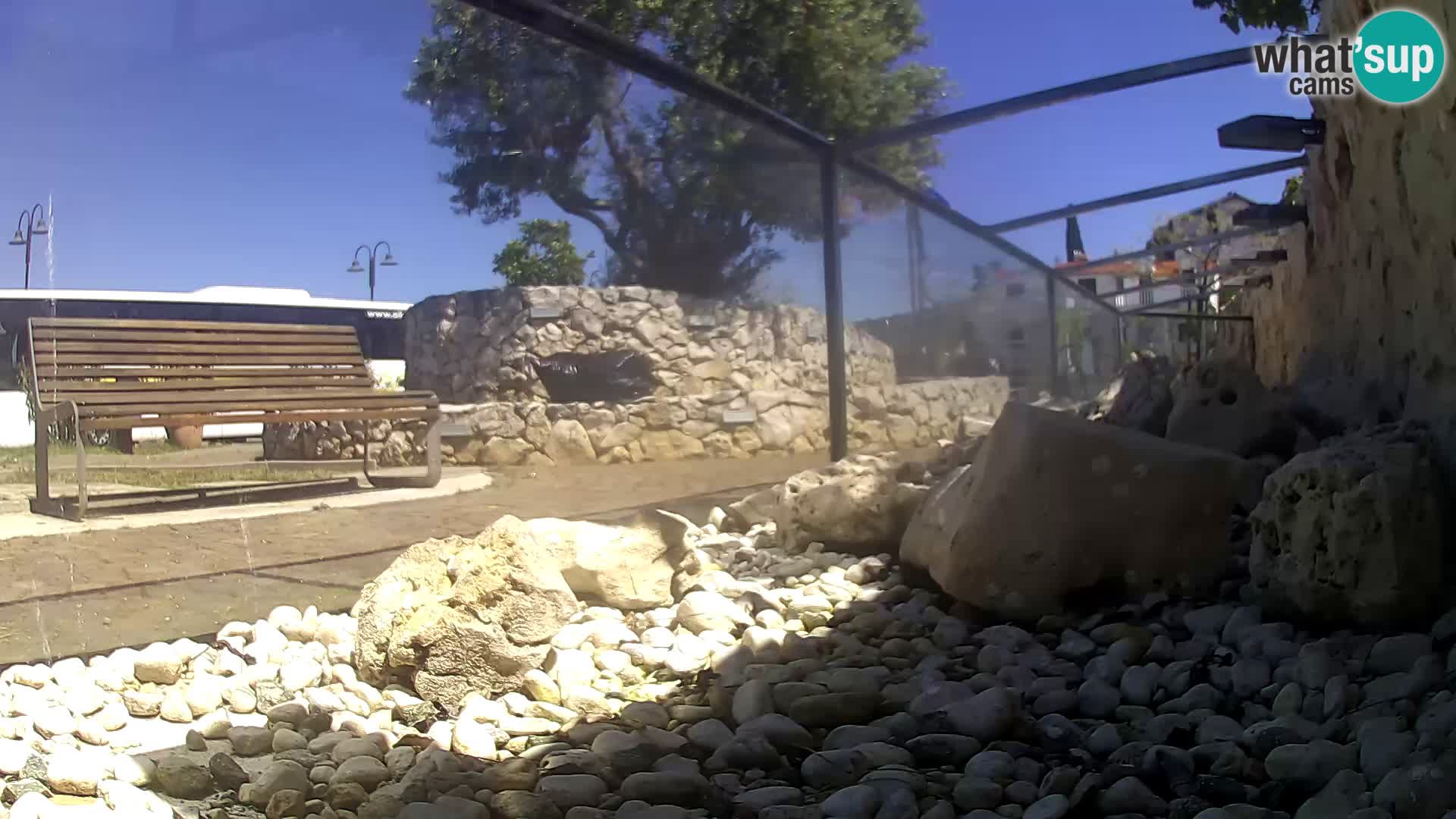 Zunanji morski akvarij Rogoznica spletna kamera Hrvaška