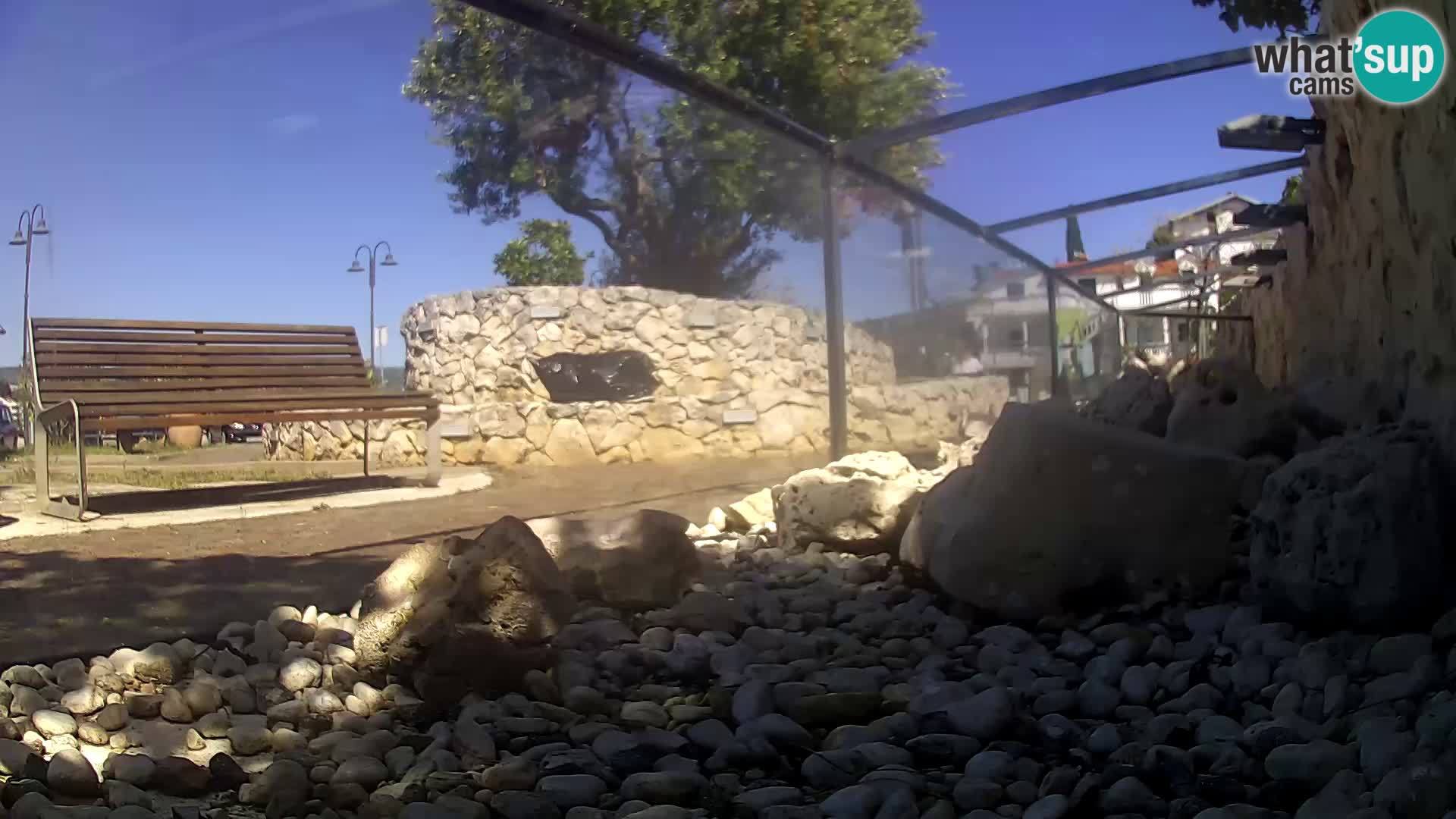 Zunanji morski akvarij Rogoznica spletna kamera Hrvaška