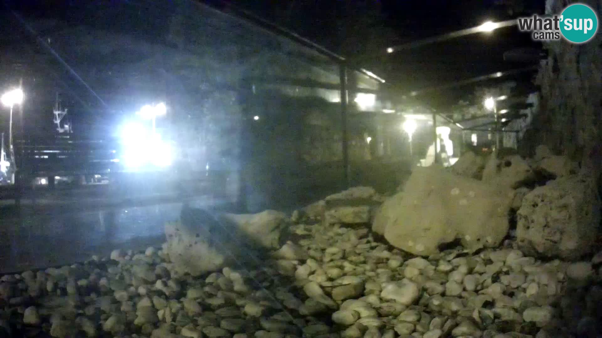 Outdoor Marine Aquarium Rogoznica webcam Croatia