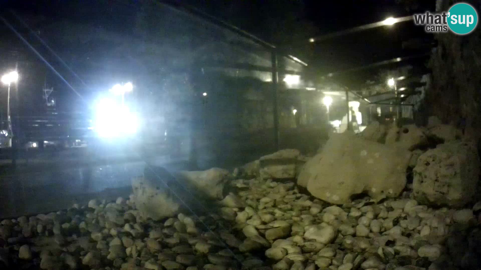 Outdoor Marine Aquarium Rogoznica webcam Croatia