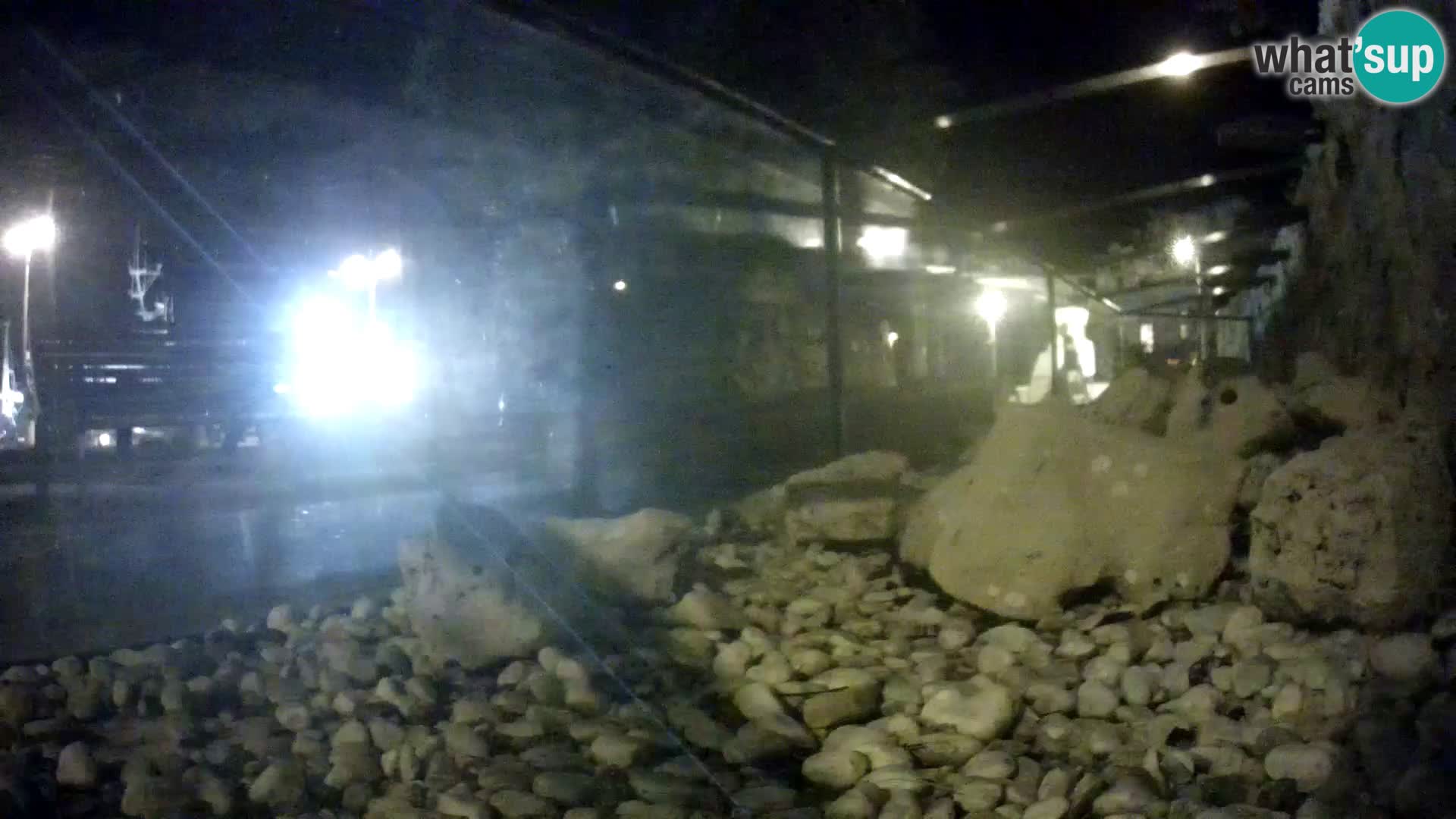 Outdoor Marine Aquarium Rogoznica webcam Croatia