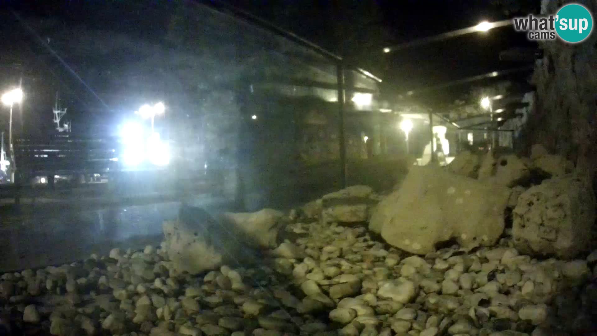 Unterwasserkamera Brijuni – Čamčarnica