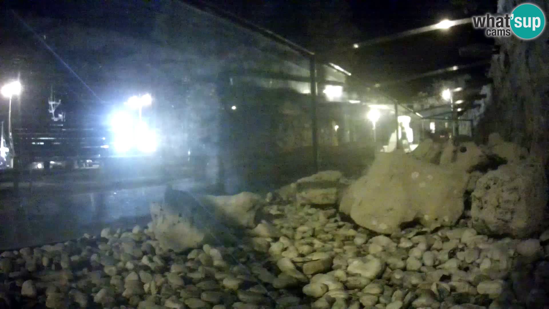 Vanjski morski akvarij Rogoznica web kamera Hrvatska