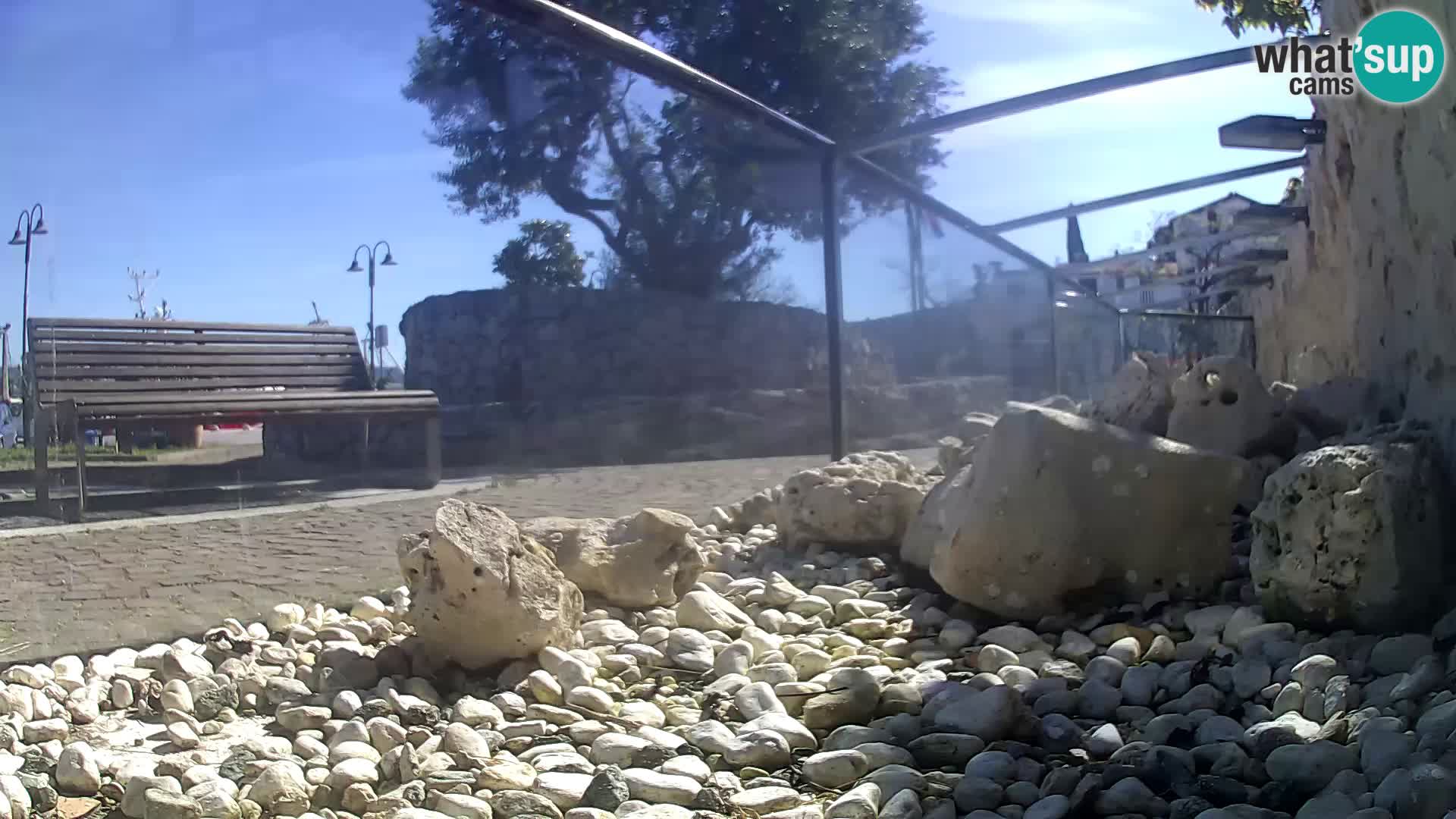 Outdoor Marine Aquarium Rogoznica webcam Croatia