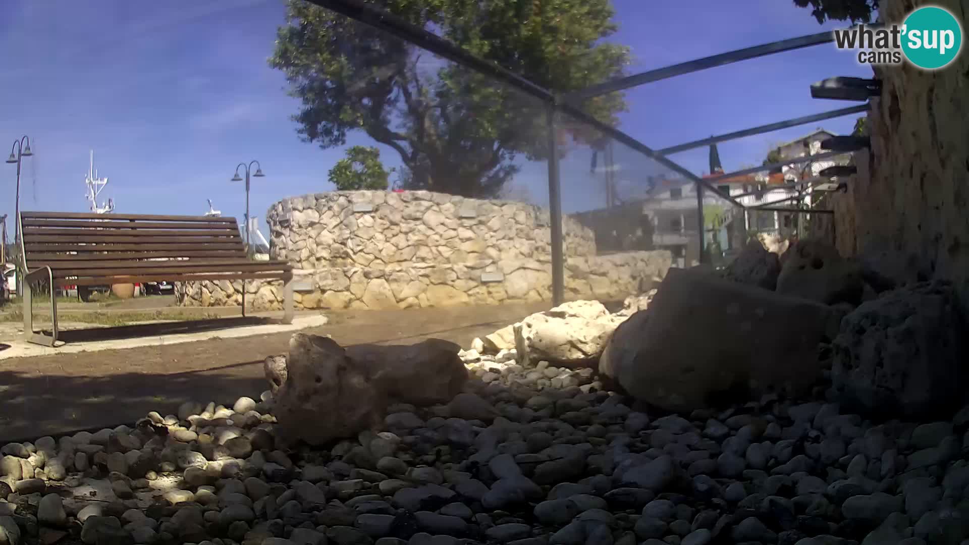 Vanjski morski akvarij Rogoznica web kamera Hrvatska