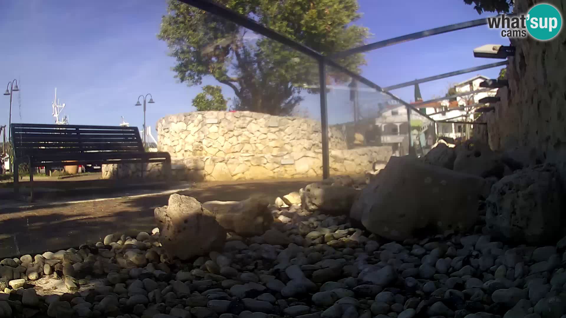 Vanjski morski akvarij Rogoznica web kamera Hrvatska