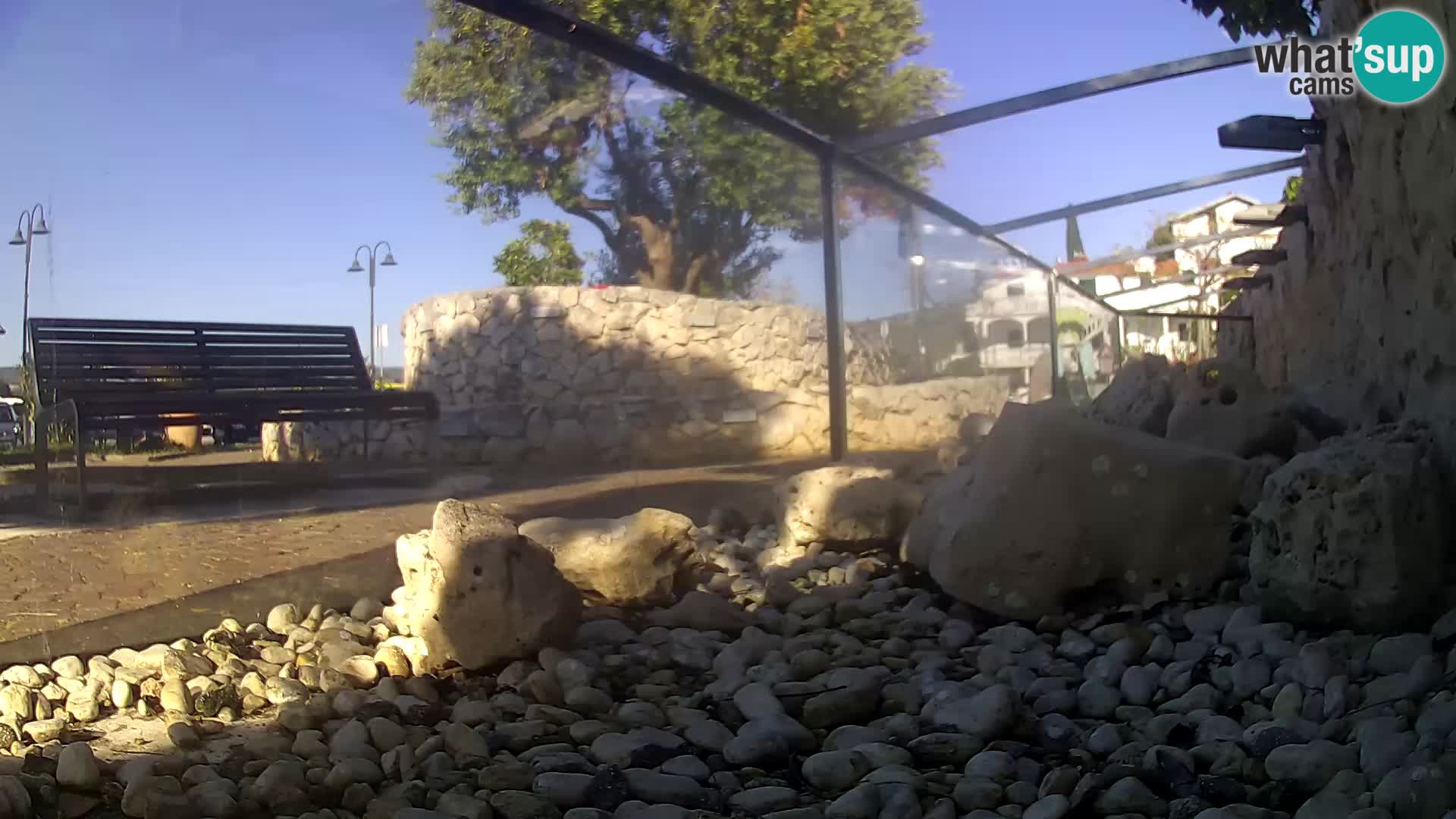 Outdoor Marine Aquarium Rogoznica webcam Croatia