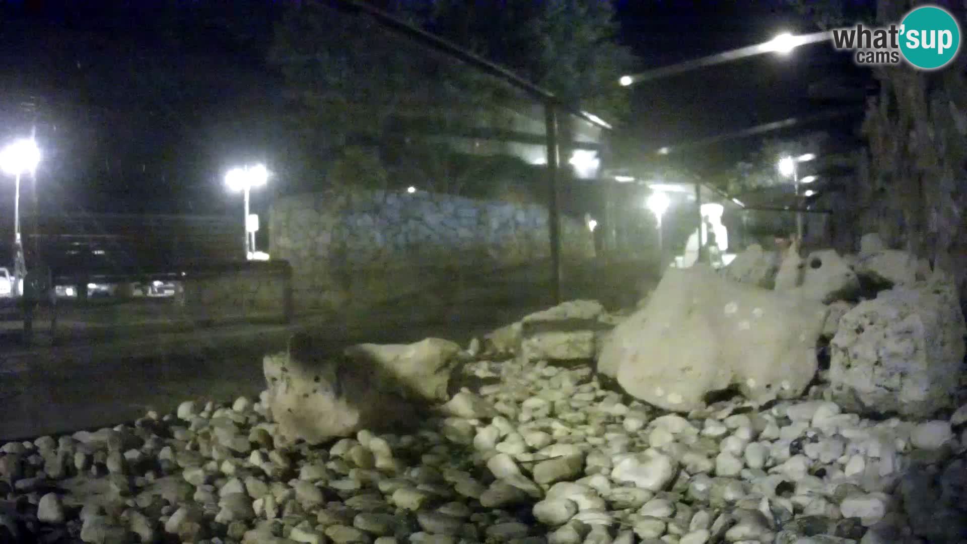 Zunanji morski akvarij Rogoznica spletna kamera Hrvaška