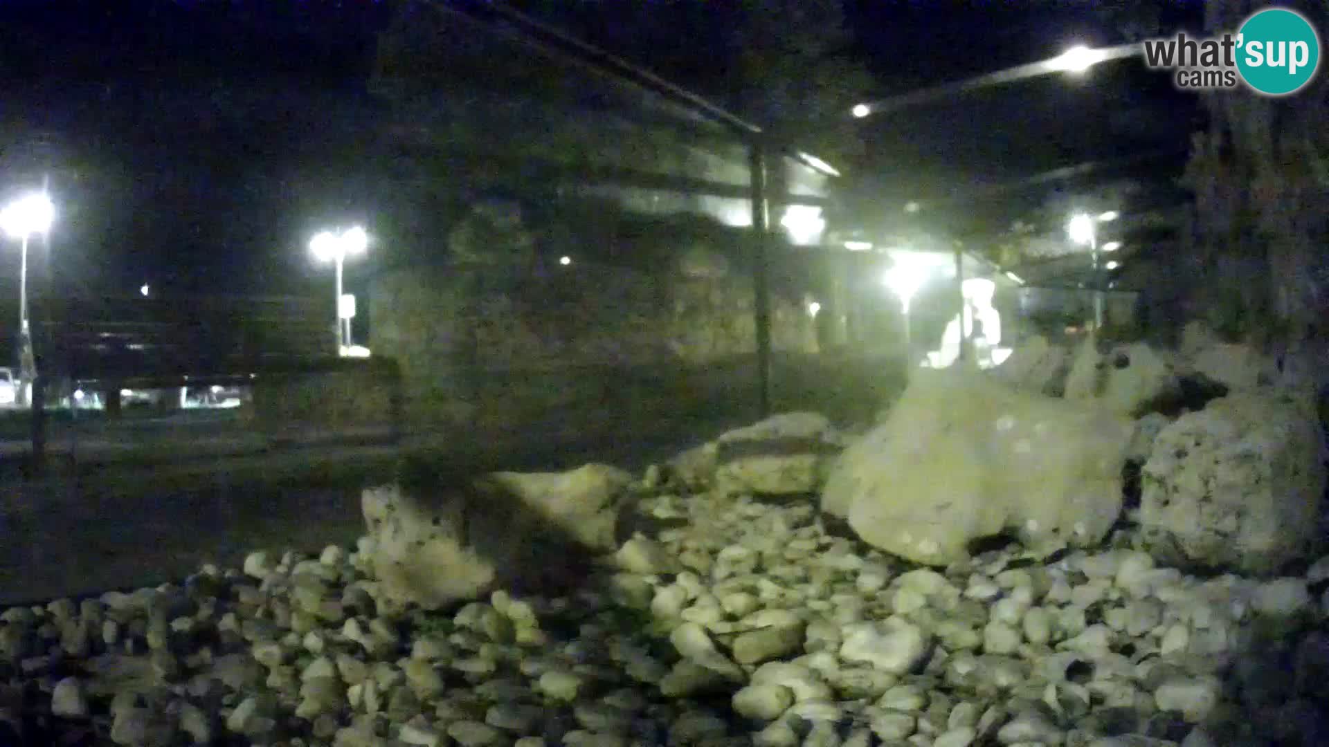 Aquario marino esterno –  Rogoznica livecam Croazia