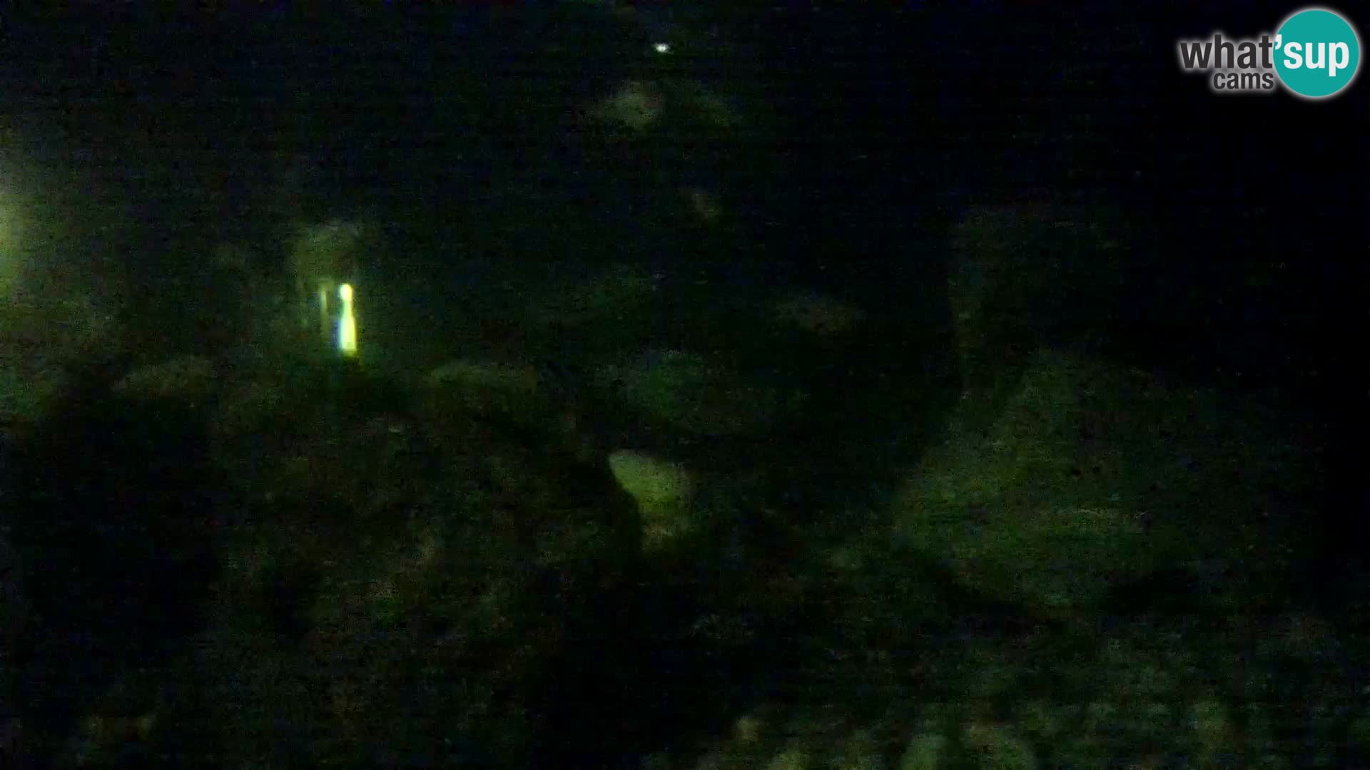 Outdoor Marine Aquarium Rogoznica webcam Croatia