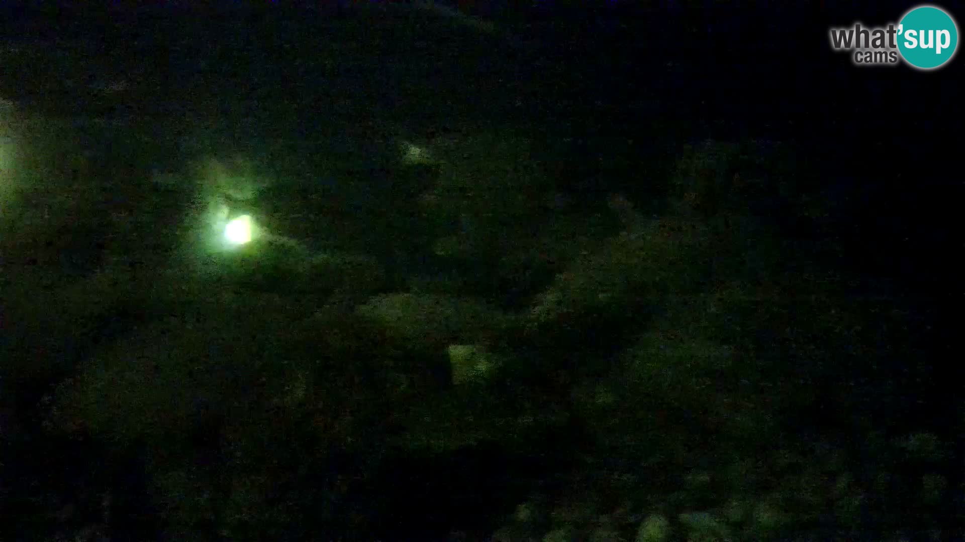 Aquario marino esterno –  Rogoznica livecam Croazia