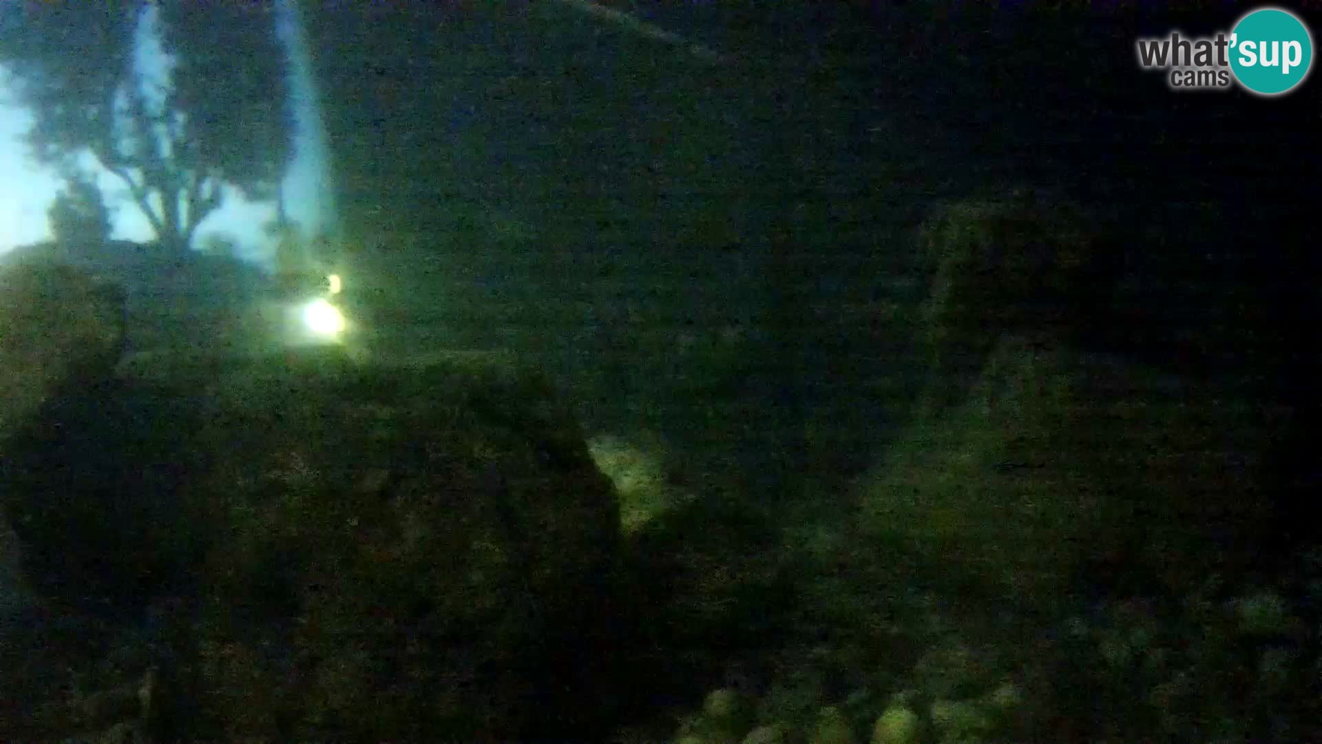 Acuario marino al aire libre Rogoznica webcam Croacia