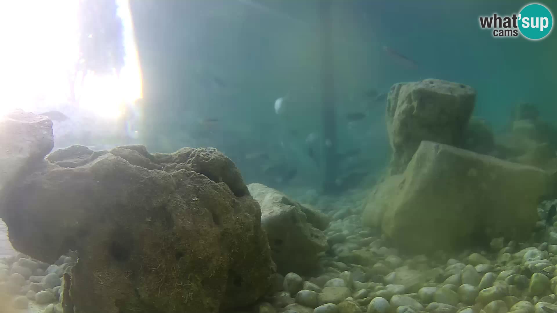 Marine Aquarium im Freien Rogoznica webcam Kroatien