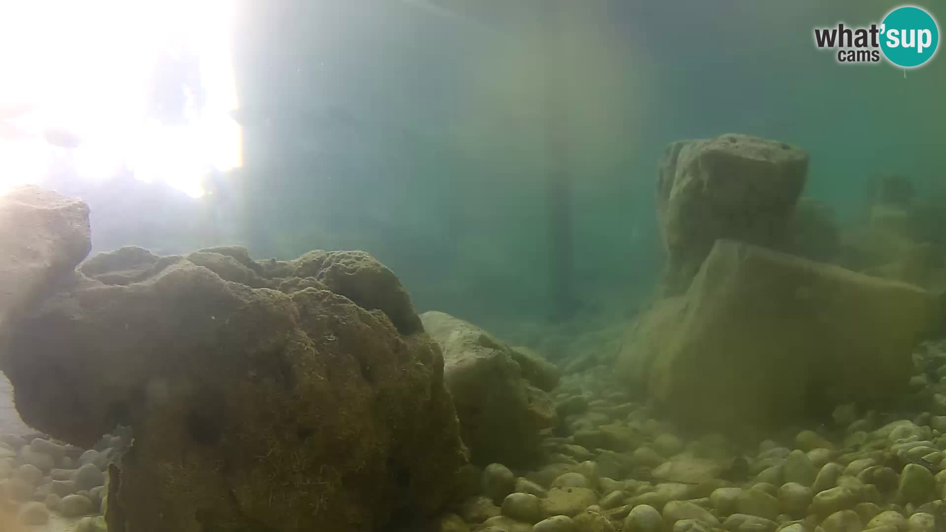 Marine Aquarium im Freien Rogoznica webcam Kroatien