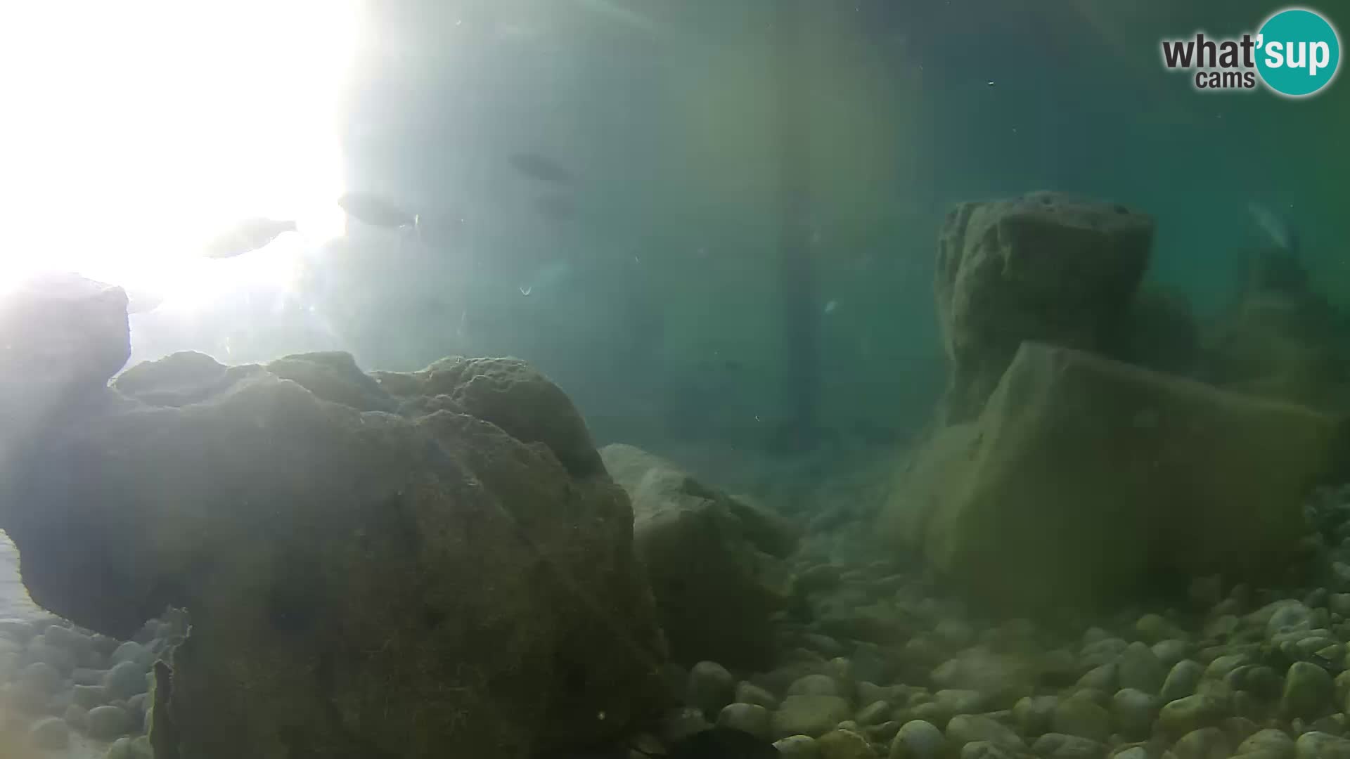 Marine Aquarium im Freien Rogoznica webcam Kroatien