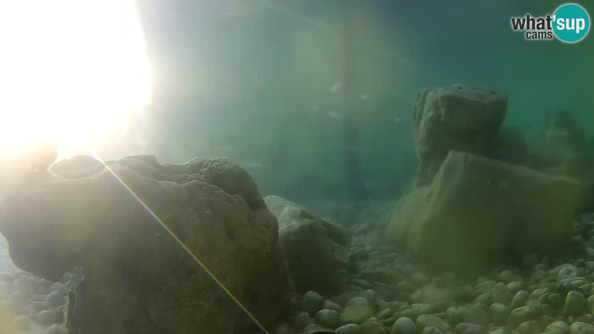 Zunanji morski akvarij Rogoznica spletna kamera Hrvaška