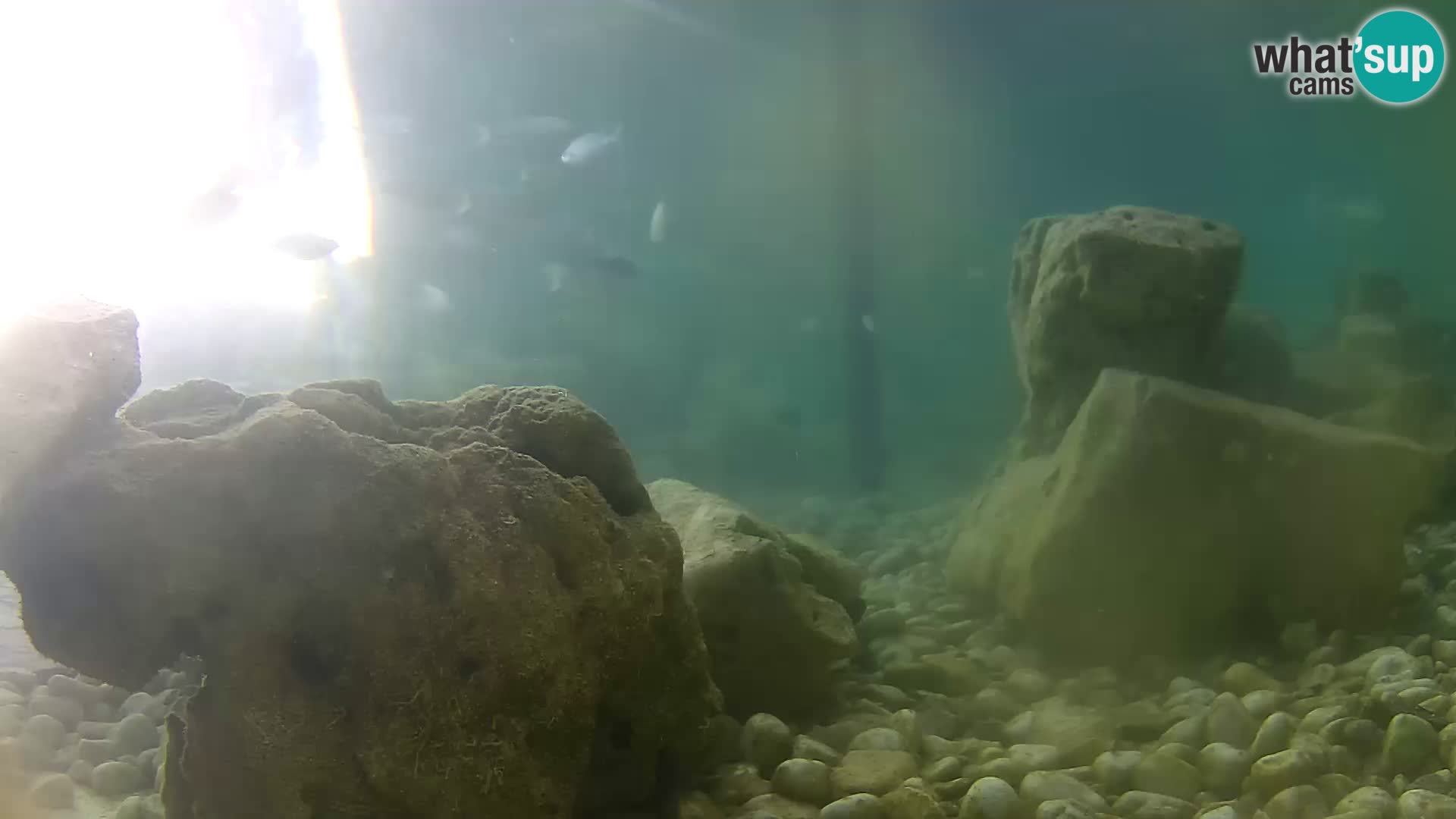 Marine Aquarium im Freien Rogoznica webcam Kroatien